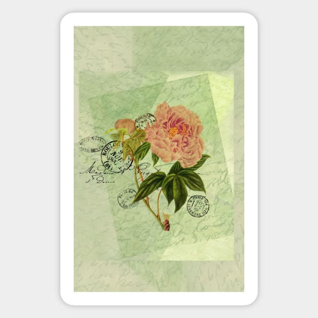 Decoupage peony 2 Sticker by venitakidwai1